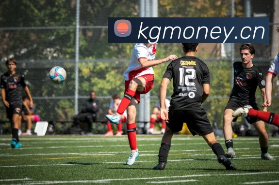 星空体育平台综合登录发展历程